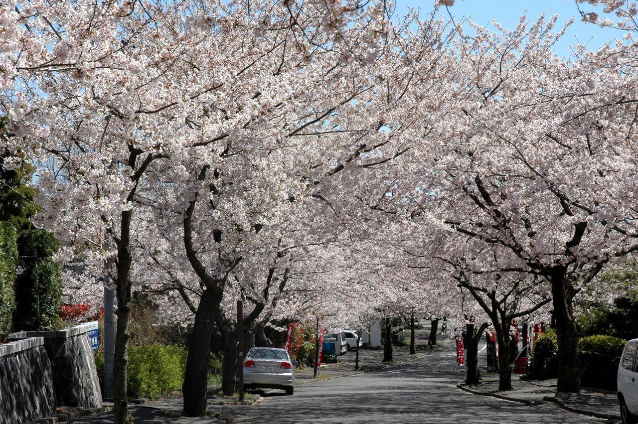 Ito Ryokuyu Hotel Buitenkant foto